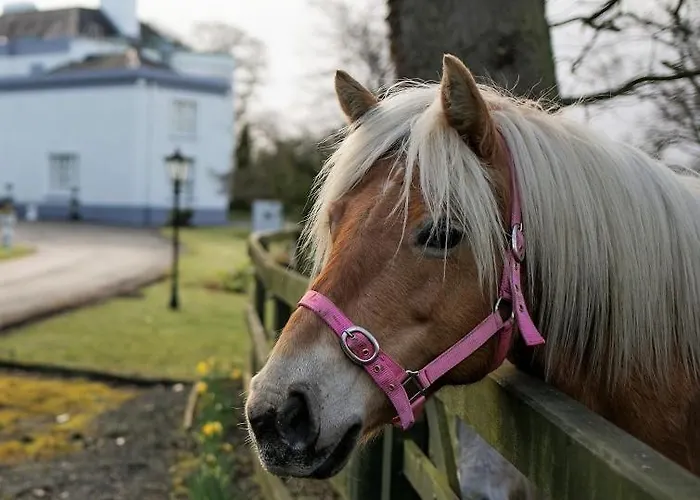 Manor 酒店 莱克斯利普